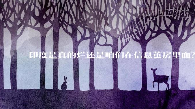 印度是真的烂还是咱们在信息茧房里面？