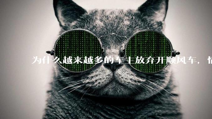 为什么越来越多的车主放弃开顺风车，情愿一个人独自开车？