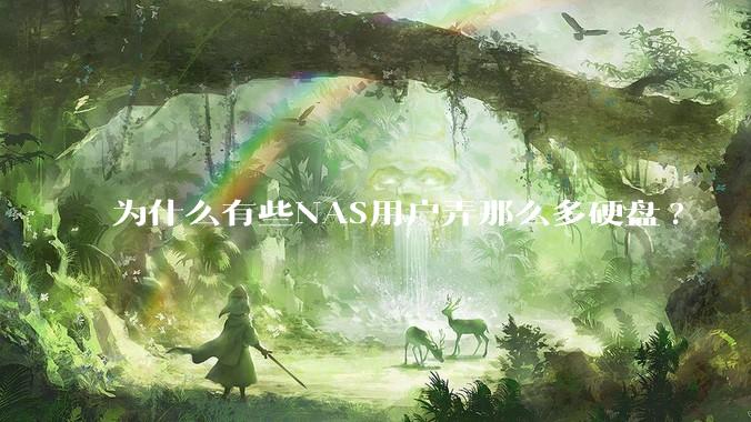 为什么有些NAS用户弄那么多硬盘?