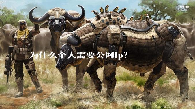 为什么个人需要公网ip？